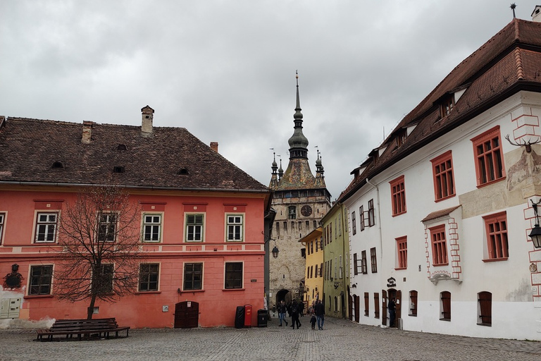 Excursion d'une journée à Sighisoara et Viscri depuis Brasov