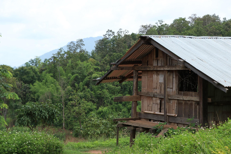 Chiang Mai: Full Day 5 Hill Tribes Tour Transport by Van
