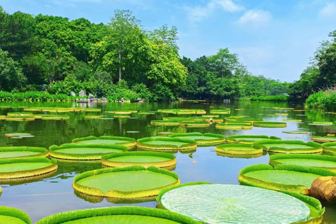 Guangxi: Qingxiu Mountain Admission Ticket