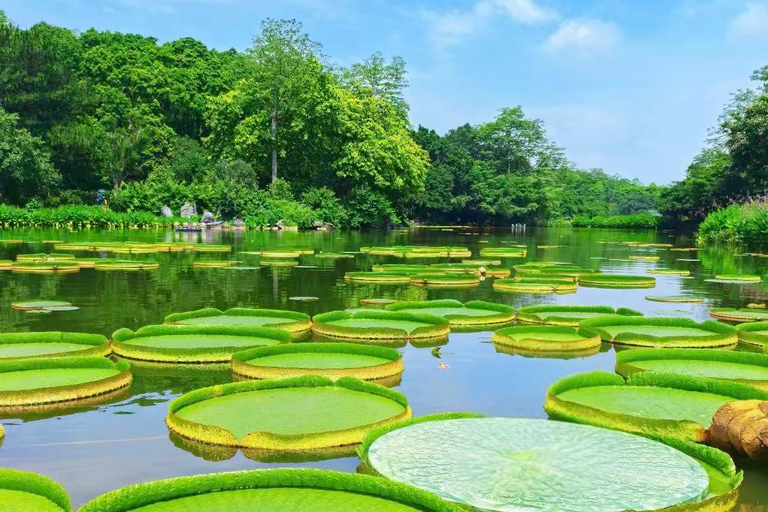 Guangxi: Qingxiu Mountain Admission Ticket