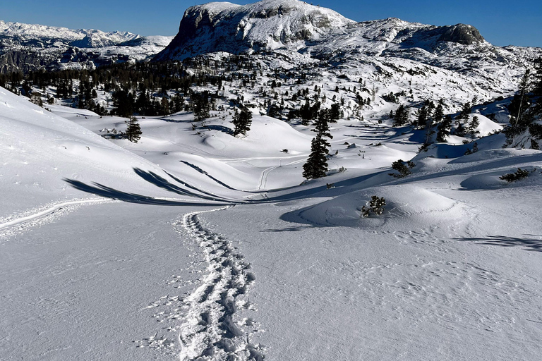 Hallstatt: Snowshoeing from Krippenstein to Zwölferkogel