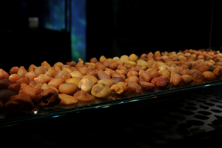 Exclusive Gdańsk: Museums, Skyline Toast & Michelin Dinner