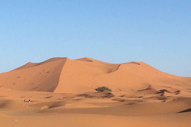 Marrakech: 5-Day Sahara Desert, Chefchaouen, & Tangier Tour