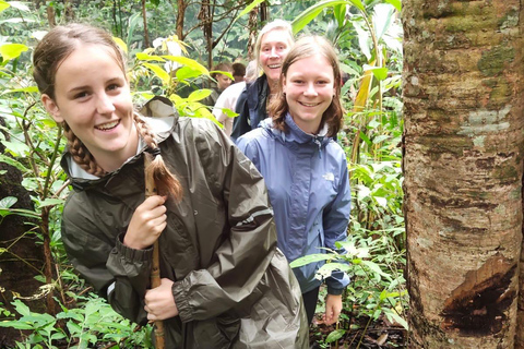 Chiang Mai: One Day Eco-Trek, Elephant care & Bamboo Rafting