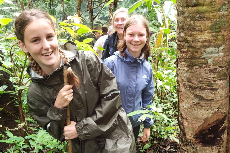 Chiang Mai: One Day Eco-Trek, Elephant care & Bamboo Rafting
