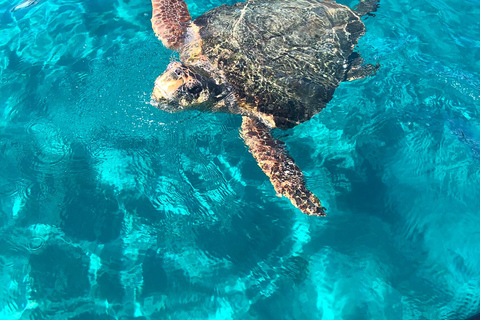 License Free Boat Rental to Turtle Island & Keri Caves