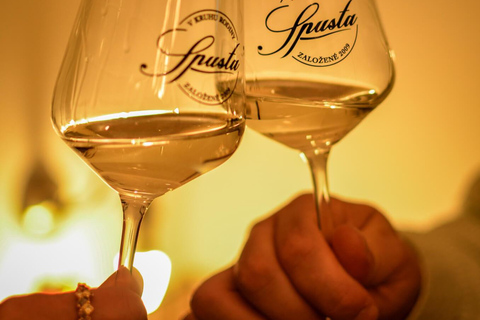 Evening Essential Bratislava Tour & Wine Tasting from Vienna