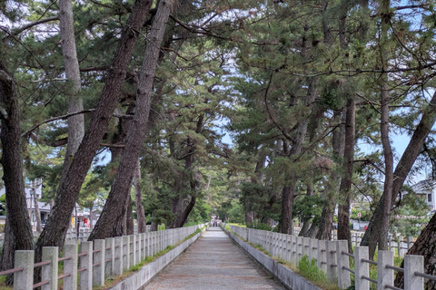 From Osaka: Horyuji Temple and Mount Ikoma Day Tour