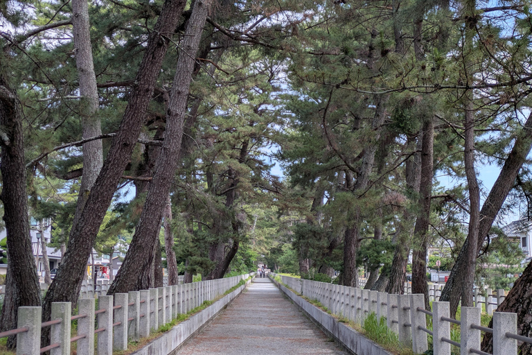 From Osaka: Horyuji Temple and Mount Ikoma Day Tour