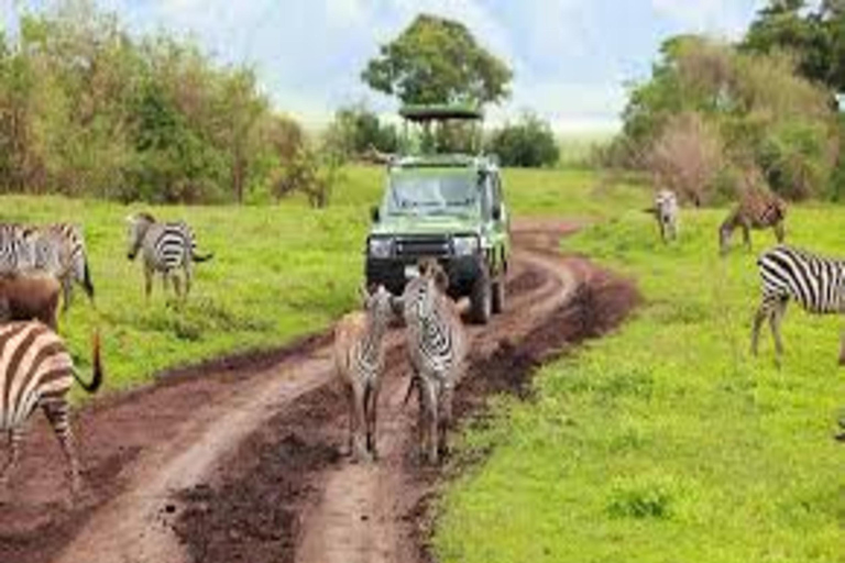 Arusha: Excursão de um dia ao Parque Nacional com Safari a Pé