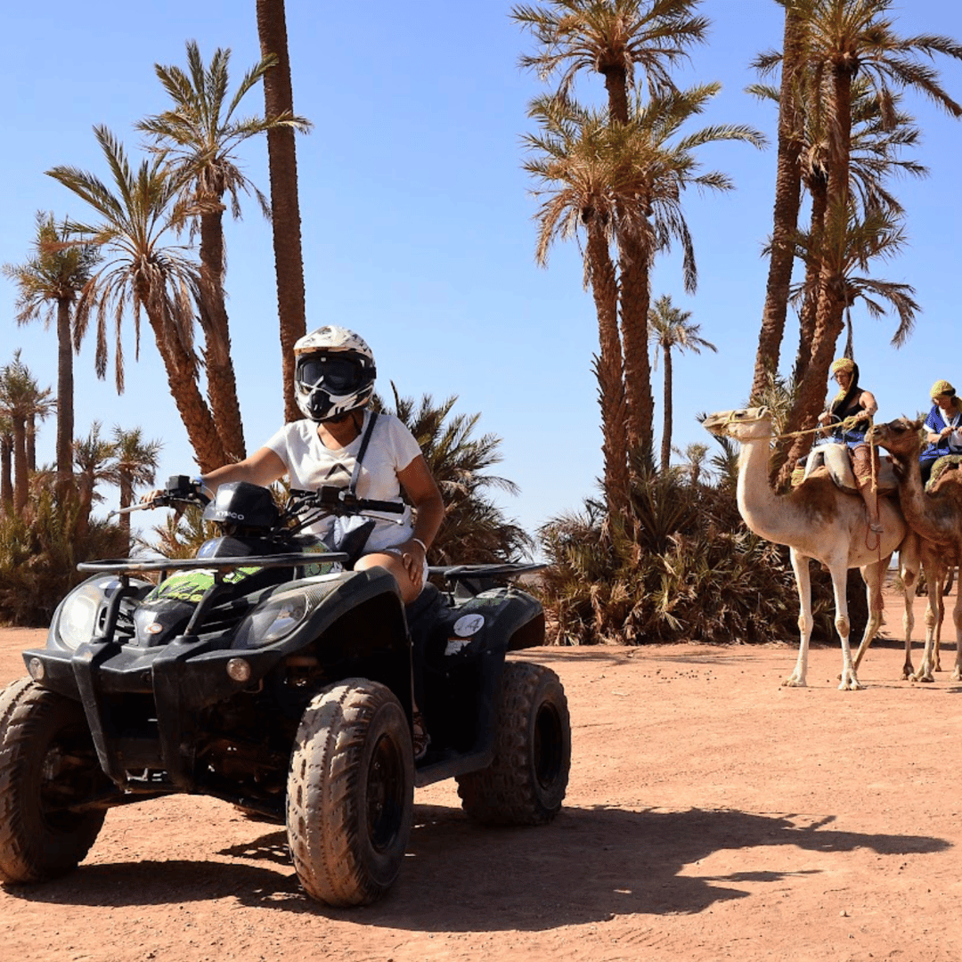 Marrakech : Balade en quad et dos de chameau avec thé - quad
