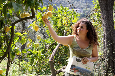 Sorrente : Visite guidée du moulin à huile avec dégustations