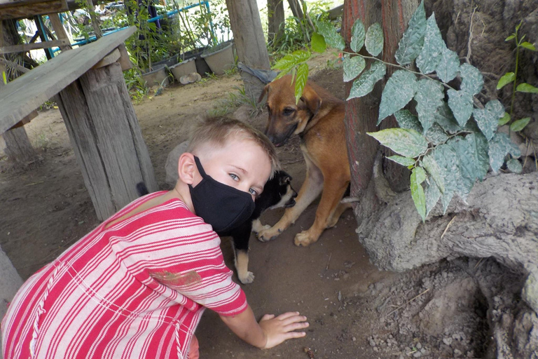 The Must-Do: Authentic Elephant & Village Life in Chiang Mai