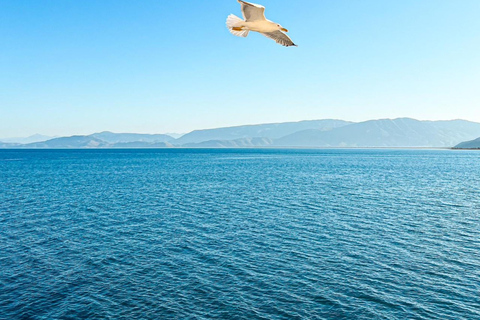 1 Day Tour: Kruja and Durrës