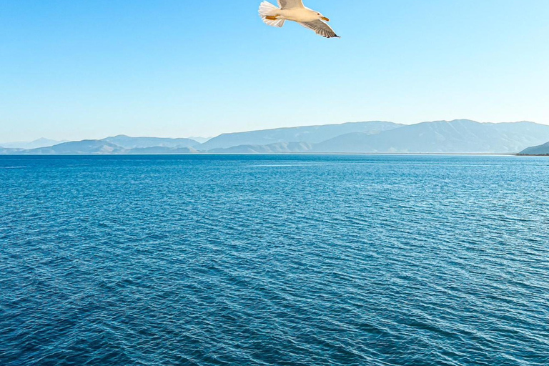 1 Day Tour: Kruja and Durrës