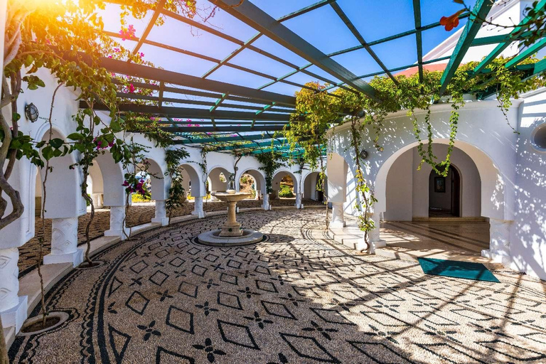 Rhodes Guided Island Tour: Kallithea, Kamiros & Highlights