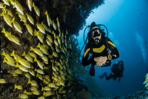 Dyk CenoteDykning i Cenote