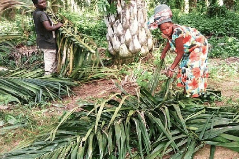 Ssese Islands 4-Day Cultural Tour and beer-making experience