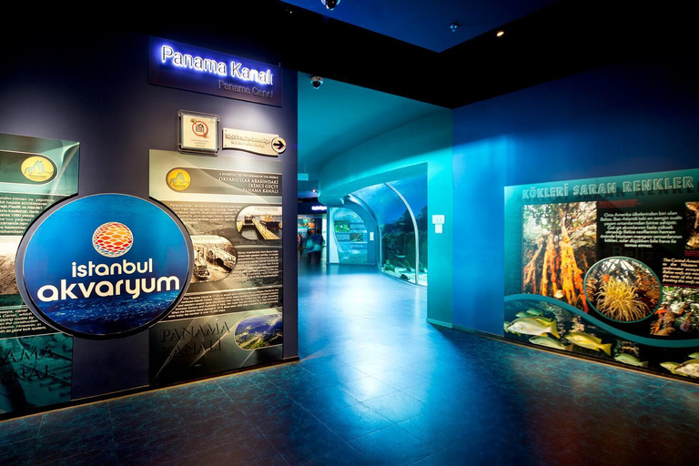 Istanbul: Aquarium Tour with Hotel Transfer Hotel Pickup & Aquarium Tour