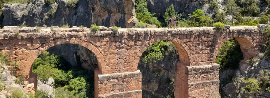 Depuis Valence : visite d'une journée privée à Peña Cortada