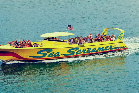 Desde Orlando: Excursión de un día a Clearwater Beach en grupo reducido