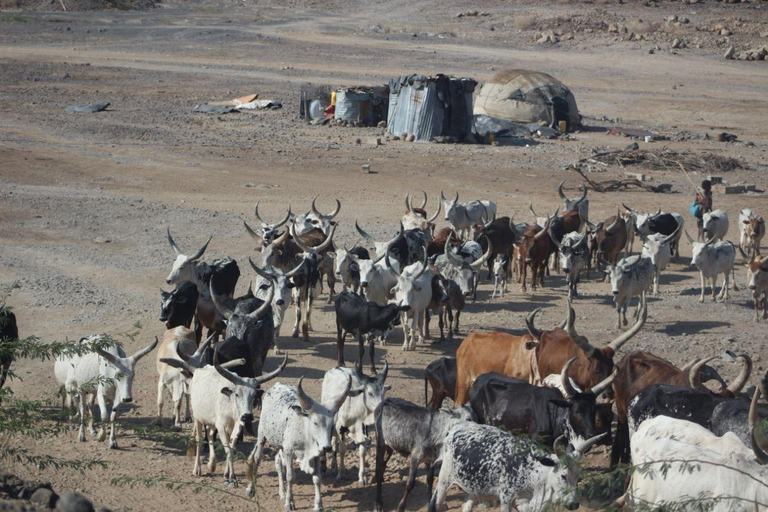 Addis Ababa: 2-Day Awash National Park Tour & Hot Springs