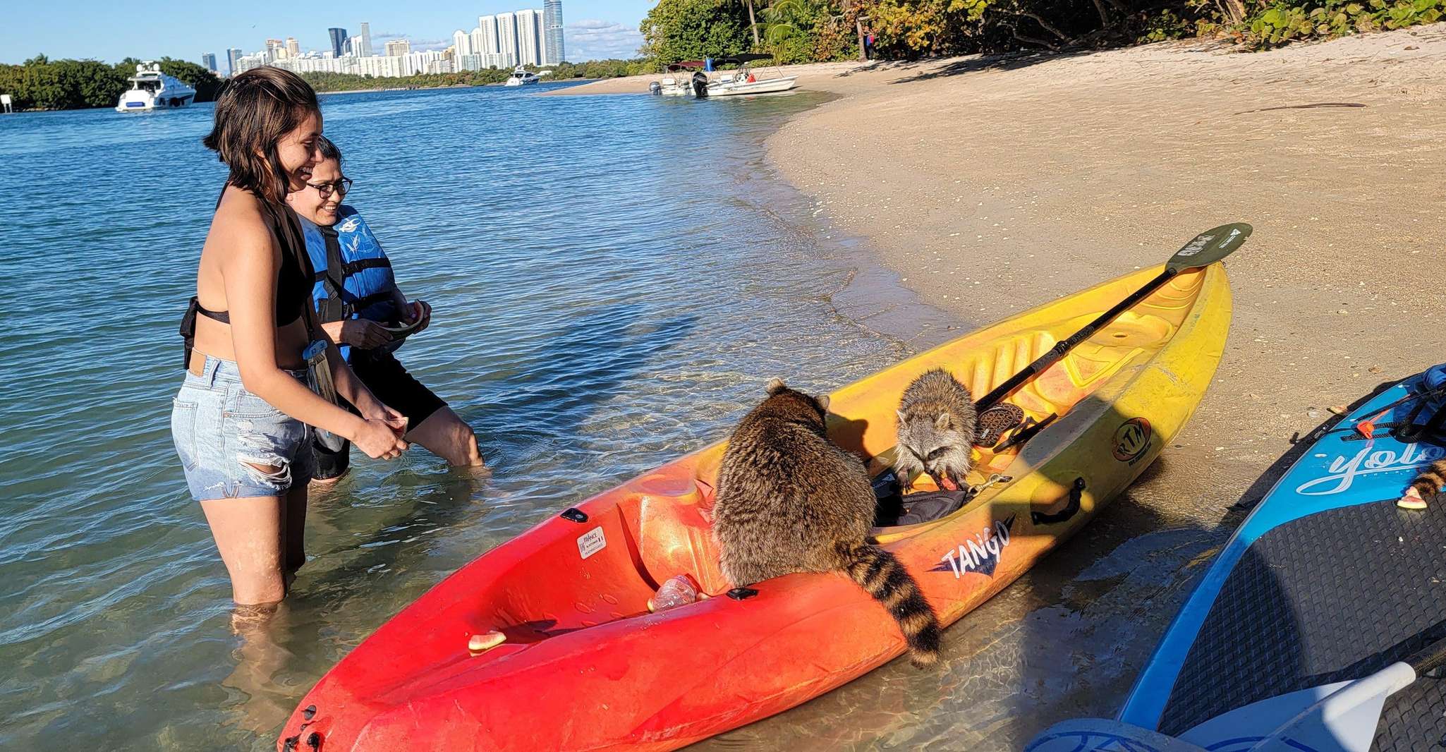 Miami: Biscayne Bay Ultimate Boat Tour with Kayak Experience photo 13