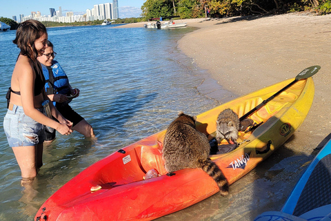 Miami: Biscayne Bay Ultimate Boat Tour with Kayak Experience