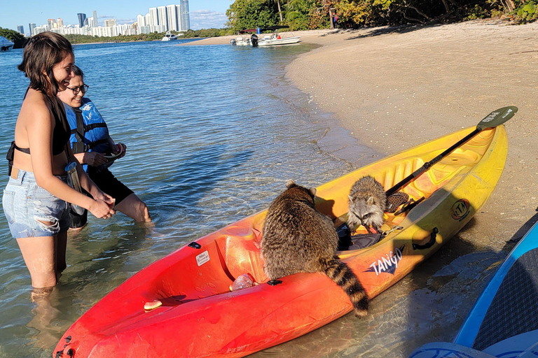Miami: Biscayne Bay Ultimate Boat Tour with Kayak Experience