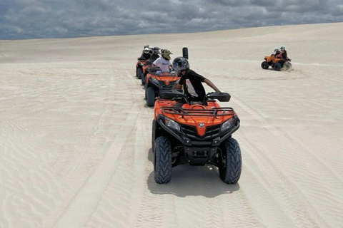Perth: Pinnacles Desert, Yanchep & Lancelin Private Tour
