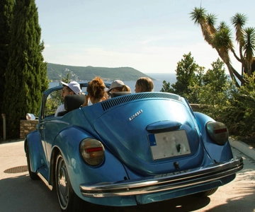 Herceg Novi: Old Timer Tour & Wine Tasting Charms