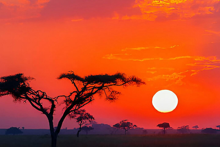 Safari de 3 días por el Serengueti y Ngorongoro desde Nairobi