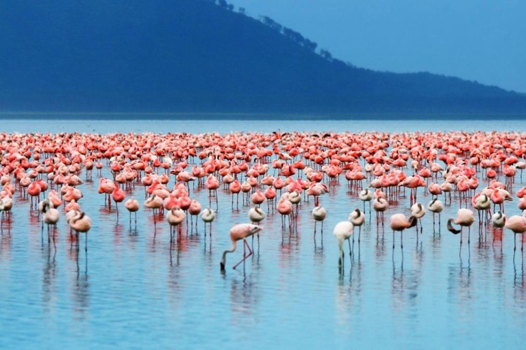 Nakuru National Park Day Trip