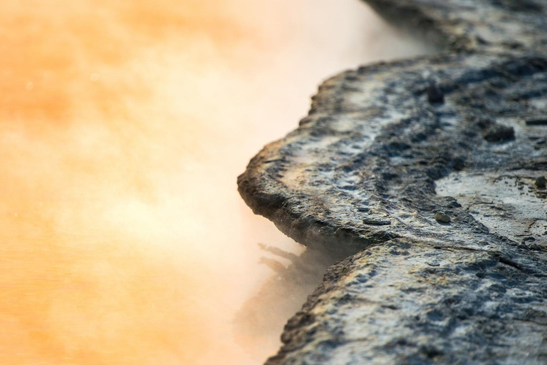 Auckland: Visita cultural e geotérmica de Rotorua Māori e almoço