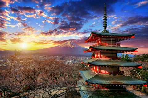 Tokyo: Mt. Fuji & Hakone One-Day Private Customizable Tour
