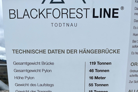 Vanuit Bazel: privé-excursie naar het Zwarte Woud, watervallen en meren