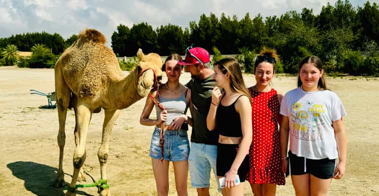 Amazing Bahrain Shared Tour (For MSC Euribia Tourists) 7H photo 6