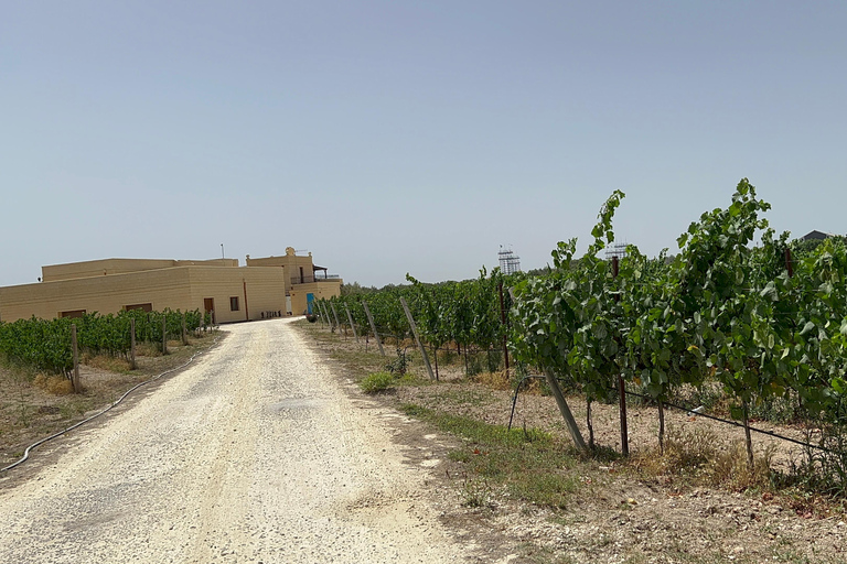 Vino con uva maltese TOUR IN PORTOGHESE