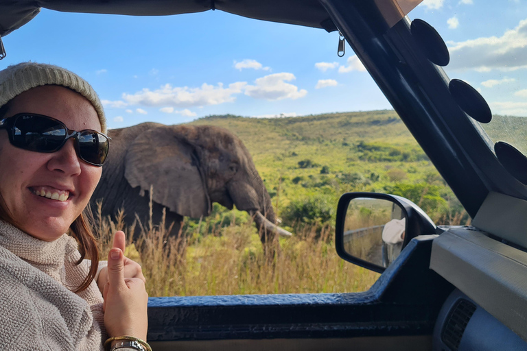 From St Lucia: Big 5 Safari in the Hluhluwe-Imfolozi Park Safari For Six Big 5 Safari