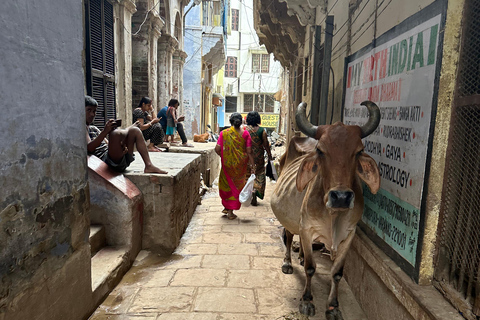 Food Tour: Highlights Tour with Tasting &Sunset in Varanasi