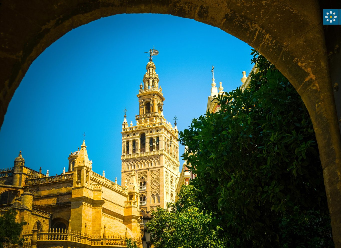 Sevilla: Spring køen over til Alcázar, katedralen og Giralda