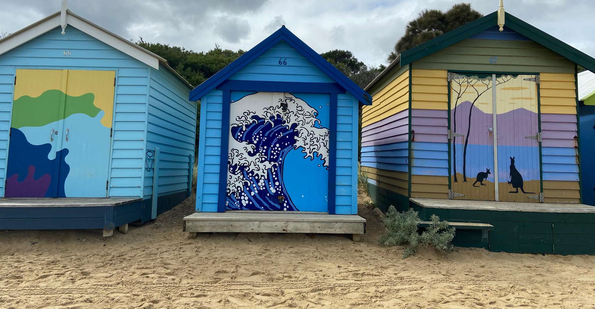 Melbourne: Moonlit Sanctuary and Brighton Beach Boxes Tour photo 2