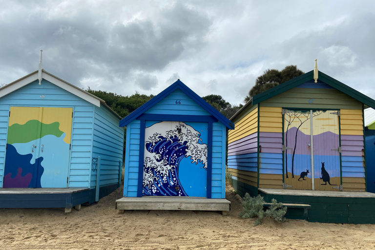 Recorrido de medio día por el Santuario iluminado por la Luna y las Cajas de Brighton Beach