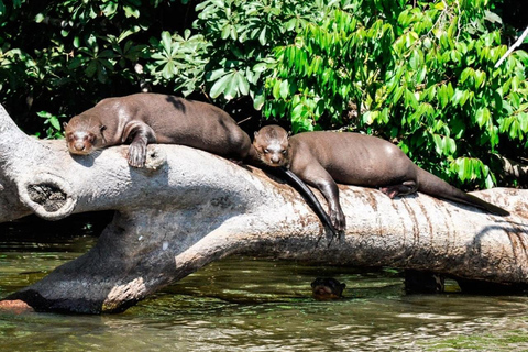 从库斯科出发：4天波尔图马尔多纳多之旅 - 桑多瓦尔湖&quot;从库斯科出发：4天波尔图马尔多纳多之旅——桑多瓦尔湖