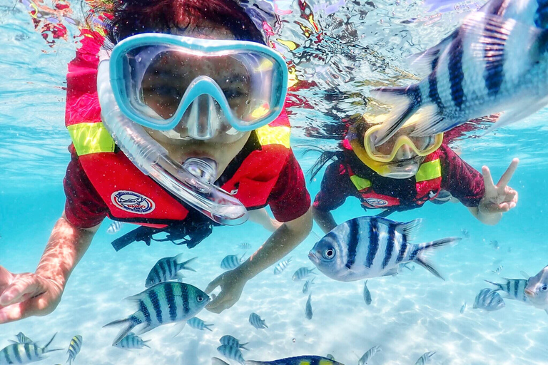 Snorkel &amp; Chill: wycieczka na wyspę Nemo z PattayaNurkowanie z rurką i relaks: wycieczka na wyspę Nemo z Pattaya