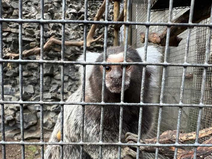 Small Group Wheel Ride, Aquarium, Bird Park, and Wine Tour GetYourGuide