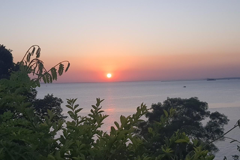 Half day Hiking Cat Ba National Park With guide