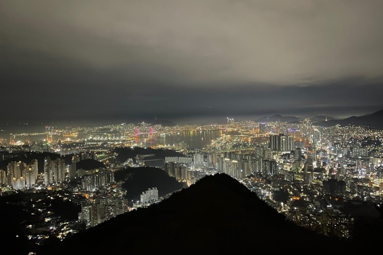 Busan: najlepsza wycieczka grupowa z nocnym widokiem