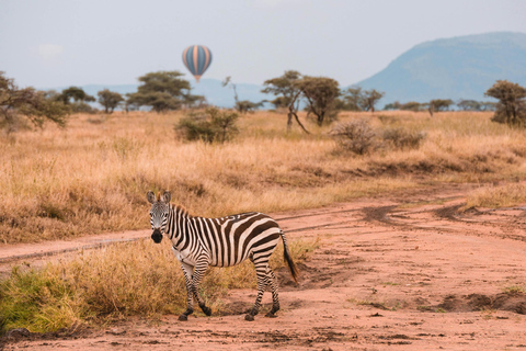 Arusha: 3-Day Serengeti & Ngorongoro Wondaful Safari 3-Day Serengeti & Ngorongoro with Balloon Experience