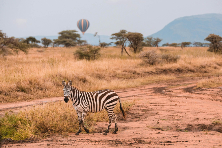 Arusha: 3-Day Serengeti & Ngorongoro Wondaful Safari 3-Day Serengeti & Ngorongoro with Balloon Experience